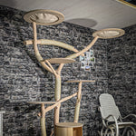 Naturkratzbaum 3536 Kratzbaum Natur Holz Design 212 cm hoch Katzenbaum