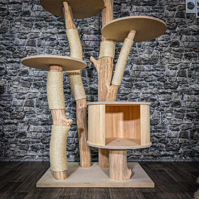 RESERVIERT + ÄNDERUNG - Naturkratzbaum 3560 Kratzbaum Natur Holz Design 200 cm hoch Katzenbaum