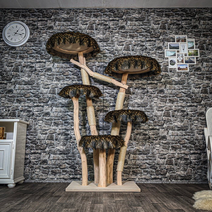 RESERVIERT + ÄNDERUNG - Naturkratzbaum 3574 Kratzbaum Natur Holz Design 175 cm hoch Katzenbaum