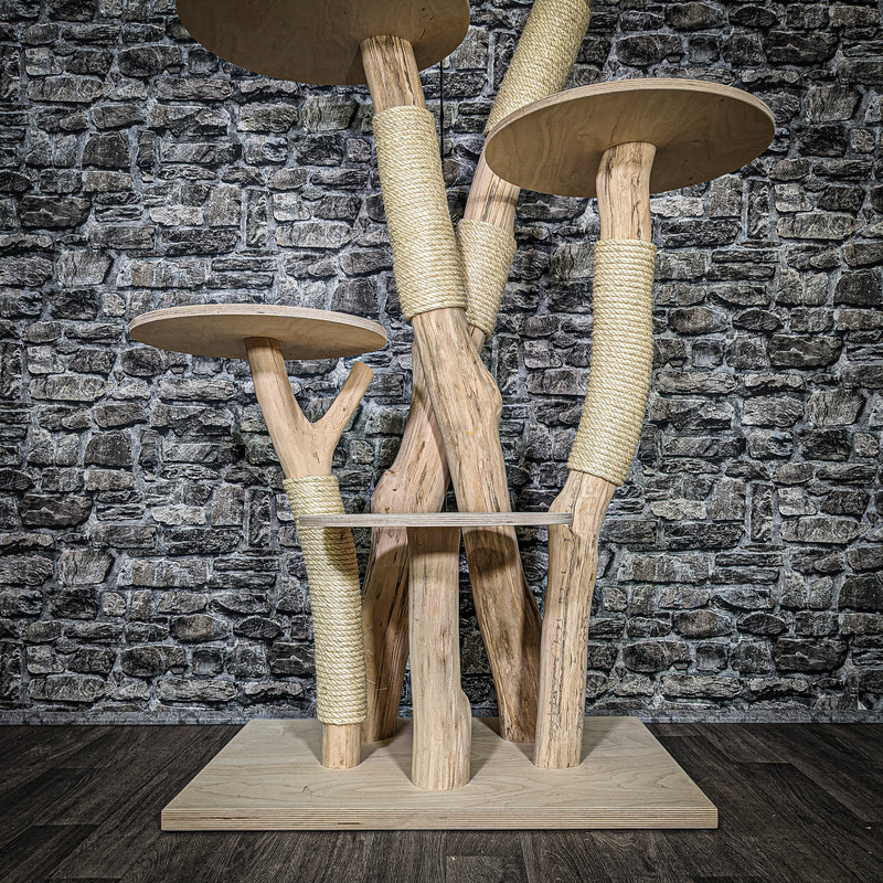 RESERVIERT + ÄNDERUNG - Naturkratzbaum 3577 Kratzbaum Natur Holz Design 156 cm hoch Katzenbaum