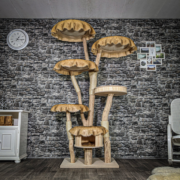 RESERVIERT + ÄNDERUNG - Naturkratzbaum 3598 Kratzbaum Natur Holz Design 206 cm hoch Katzenbaum