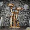 Naturkratzbaum 3608 Kratzbaum Natur Holz Design 173 cm hoch Katzenbaum
