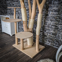 RESERVIERT - Naturkratzbaum 3658 Kratzbaum Natur Holz Design 230 cm hoch Katzenbaum