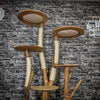 Naturkratzbaum 3687 Kratzbaum Natur Holz Design 175 cm hoch Katzenbaum