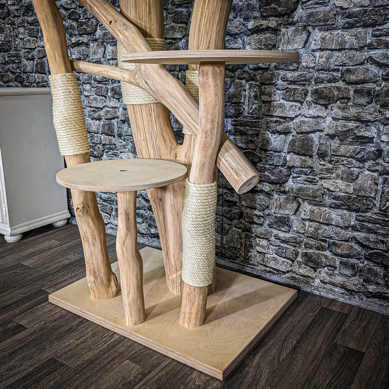 RESERVIERT + ÄNDERUNGEN - Naturkratzbaum 3695 Kratzbaum Natur Holz Design 212 cm hoch Katzenbaum