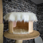 RESERVIERT + ÄNDERUNGEN - Naturkratzbaum 3695 Kratzbaum Natur Holz Design 212 cm hoch Katzenbaum