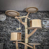 RESERVIERT + ÄNDERUNG - Naturkratzbaum 3710 Kratzbaum Natur Holz Design 235 cm hoch Katzenbaum