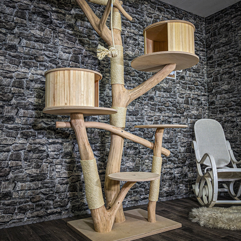 RESERVIERT + ÄNDERUNG - Naturkratzbaum 3710 Kratzbaum Natur Holz Design 235 cm hoch Katzenbaum