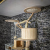 RESERVIERT + ÄNDERUNG - Naturkratzbaum 3710 Kratzbaum Natur Holz Design 235 cm hoch Katzenbaum