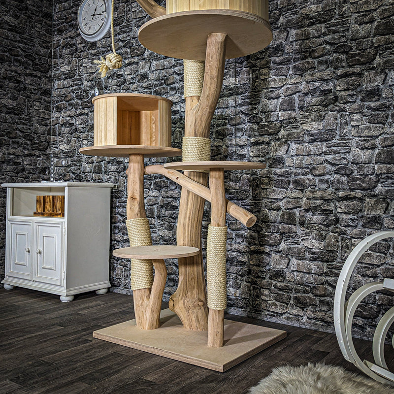 RESERVIERT + ÄNDERUNG - Naturkratzbaum 3710 Kratzbaum Natur Holz Design 235 cm hoch Katzenbaum