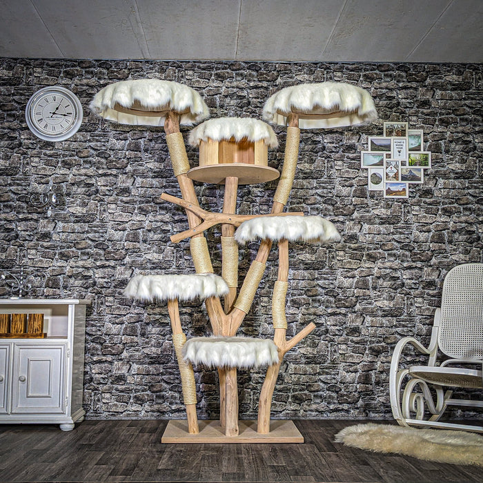 RESERVIERT + ÄNDERUNGEN - Naturkratzbaum 3734 Kratzbaum Natur Holz Design 200 cm hoch Katzenbaum