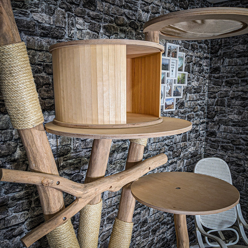 RESERVIERT + ÄNDERUNGEN - Naturkratzbaum 3734 Kratzbaum Natur Holz Design 200 cm hoch Katzenbaum