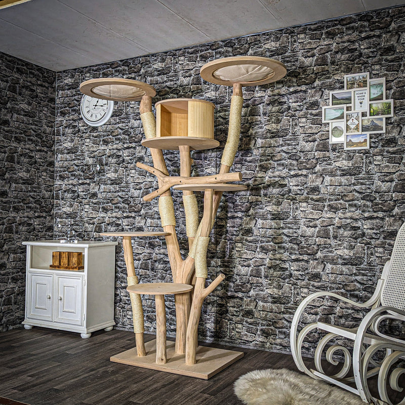 RESERVIERT + ÄNDERUNGEN - Naturkratzbaum 3734 Kratzbaum Natur Holz Design 200 cm hoch Katzenbaum