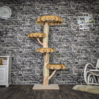 Naturkratzbaum 3740 Kratzbaum Natur Holz Design 172 cm hoch Katzenbaum