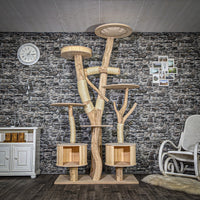 Naturkratzbaum 3748 Kratzbaum Natur Holz Design 225 cm hoch Katzenbaum