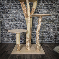 Naturkratzbaum 3752 Kratzbaum Natur Holz Design 175 cm hoch Katzenbaum