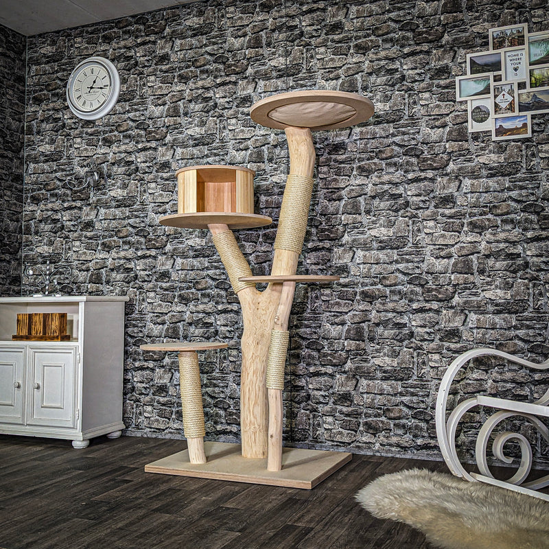 RESERVIERT + ÄNDERUNG - Naturkratzbaum 3774 Kratzbaum Natur Holz Design 163 cm hoch Katzenbaum