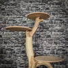 Naturkratzbaum 3790 Kratzbaum Natur Holz Design 120 cm hoch Katzenbaum