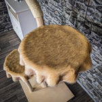 Naturkratzbaum 3792 Kratzbaum Natur Holz Design 153 cm hoch Katzenbaum