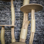 Naturkratzbaum 3838 Kratzbaum Natur Holz Design 185 cm hoch Katzenbaum