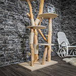 Naturkratzbaum 2250 Kratzbaum Natur Holz Design 205 cm hoch
