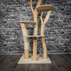 Naturkratzbaum 2255 Kratzbaum Natur Holz Design 170 cm hoch