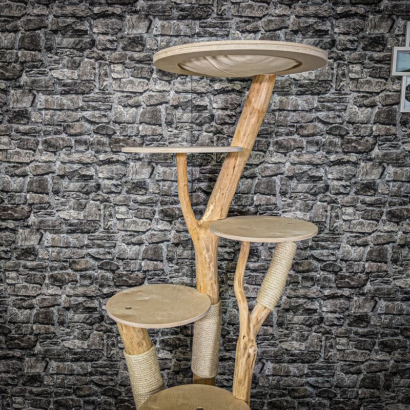 Naturkratzbaum 2255 Kratzbaum Natur Holz Design 170 cm hoch