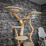 RESERVIERT + ÄNDERUNG Naturkratzbaum 2256 Kratzbaum Natur Holz Design 170 cm hoch