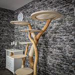 RESERVIERT + ÄNDERUNG Naturkratzbaum 2256 Kratzbaum Natur Holz Design 170 cm hoch