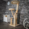 Naturkratzbaum 2499 Kratzbaum Natur Holz Design 158 cm hoch