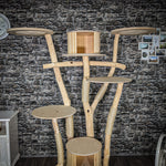 RESERVIERT Naturkratzbaum 2502 Kratzbaum Natur Holz Design 196 cm hoch
