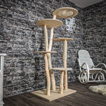 Naturkratzbaum 2523 Kratzbaum Natur Holz Design 174 cm hoch Katzenbaum