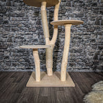 Naturkratzbaum 2538 Kratzbaum Natur Holz Design 144 cm hoch