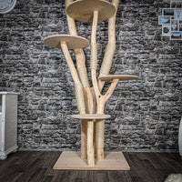 Naturkratzbaum 2586 Kratzbaum Natur Holz Design 210 cm hoch