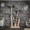 Naturkratzbaum 2590 Kratzbaum Natur Holz Design 180 cm hoch