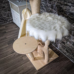 Naturkratzbaum 165 cm hoch Kratzbaum Natur Holz Design 2624 Katzenbaum