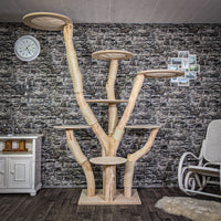 RESERVIERT Naturkratzbaum 220 cm hoch Kratzbaum Natur Holz Design 2638 Katzenbaum