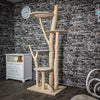 Naturkratzbaum 200 cm hoch Kratzbaum Natur Holz Design 2643 Katzenbaum