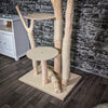 Naturkratzbaum 200 cm hoch Kratzbaum Natur Holz Design 2643 Katzenbaum