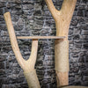 Naturkratzbaum 200 cm hoch Kratzbaum Natur Holz Design 2643 Katzenbaum