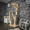 Naturkratzbaum 2446 Kratzbaum Natur Holz Design 172 cm hoch