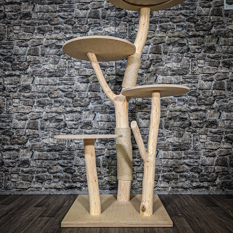 RESERVIERT + ÄNDERUNGEN - Naturkratzbaum 2448 Kratzbaum Natur Holz Design 142 cm hoch