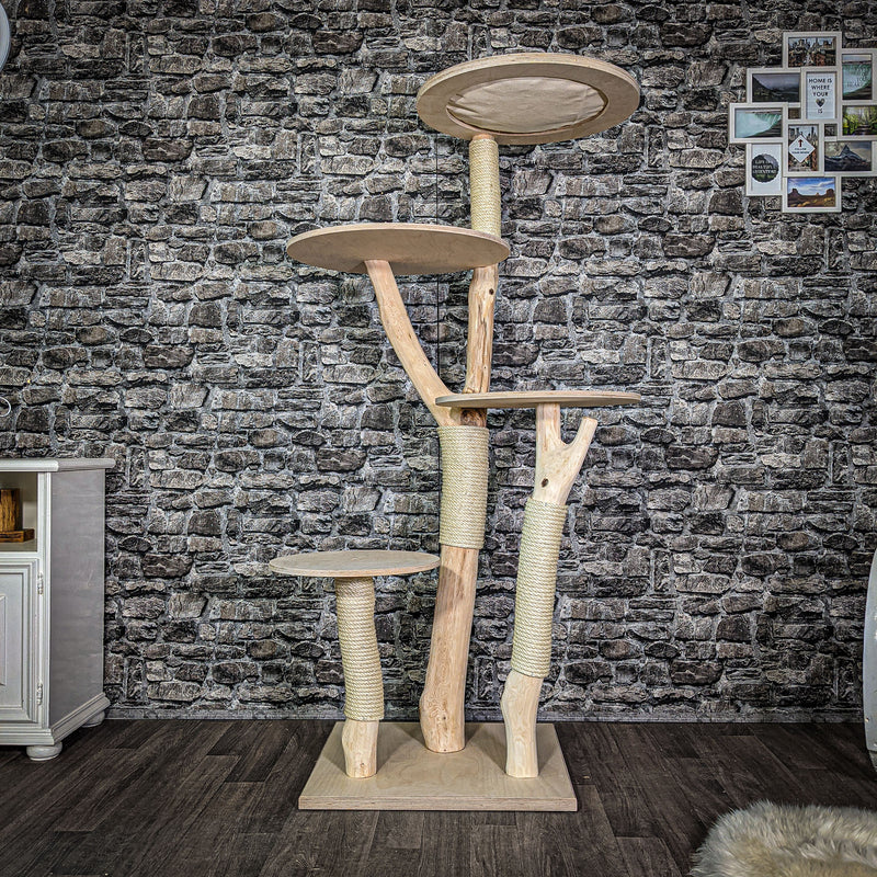 Naturkratzbaum 172 cm hoch Kratzbaum Natur Holz Design 2661 Katzenbaum