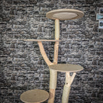 Naturkratzbaum 172 cm hoch Kratzbaum Natur Holz Design 2661 Katzenbaum